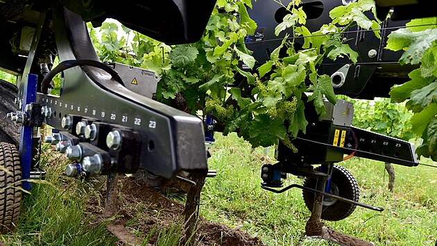 Technika, kterou mohou vinai vyut, je stle dokonalej. Nejnovj trendy pedstavil vinask jarmark Kzn na vinici v popickm vinastv Sonberk.