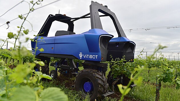 Technika, kterou mohou vinai vyut, je stle dokonalej. Nejnovj trendy pedstavil vinask jarmark Kzn na vinici v popickm vinastv Sonberk.