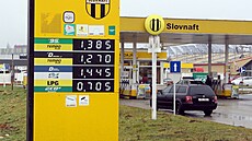 Čerpací stanice Slovnaft ve slovenském Púchově (ilustrační snímek) | na serveru Lidovky.cz | aktuální zprávy