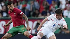 �eský reprezentant Adam Hlo�ek se pokou�í udr�et mí� p�ed Joaem Cancelem,...