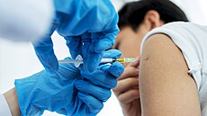 ilustra�ní snímek