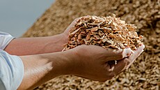 ilustra�ní snímek