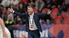 Český trenér Jaroslav Šilhavý se zlobí během utkání Ligy národů proti Švýcarsku.
