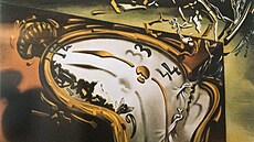 Z výstavy Salvadora Dalího ve Zlín� (�erven 2022)