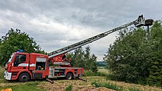 Hasii z hnízda v Rapotín na umpersku evakuovali ti títýdenní ápy. (7....