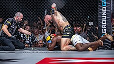 Německý MMA zápasník Christian Eckerlin bije brazilského soupeře Denilsona...