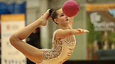 Dvoudenní mezinárodní klání v moderní gymnastice hostí o víkendu karlovarská KV...