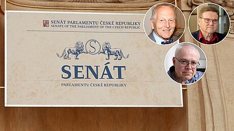 O Senát usilují známé tváe z minulosti