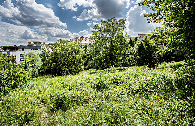 Pozemky okolo usedlosti Nikolajka v Praze 5. (10. června 2022)