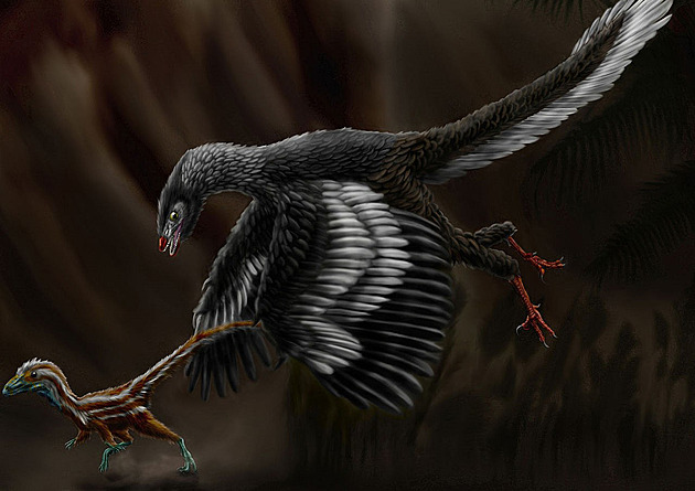 Dinosaurus, který měl být „chybějícím článkem“ ve vývoji živočišstva