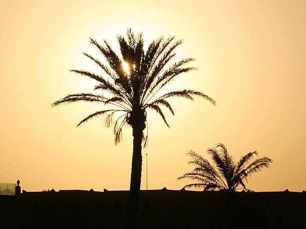 Lenoen na pli? Tunisk ostrov Djerba toho nabz mnohem vc.