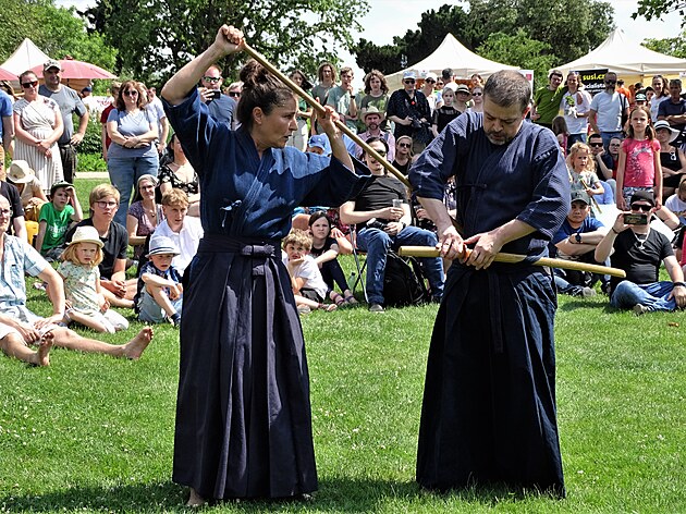 Festival Japonské kultury