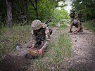 Ukrajintí vojáci kladou protitankové miny v Doncké oblasti (14. ervna 2022)