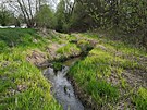 Okol Vrteckho potoka je zarostl, radnice by ho chtla promnit na park.