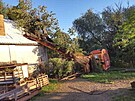 Vyvrcen strom v obci Vedrovice na Znojemsku. (13.6.2022)