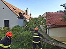 Zlomen strom a ponien stecha v obci Kepice na Znojemsku. (13.6.2022)