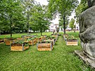 Komunitn zahrada u hradeck Stelnice (10. 6. 2022)