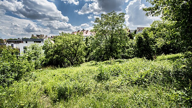 Pozemky okolo usedlosti Nikolajka v Praze 5. (10. června 2022)