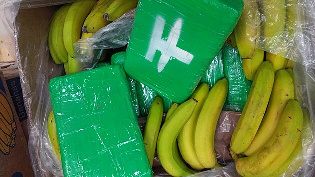 Zásilka banánů s lisovaným kokainem, která se našla v supermarketech v Jičíně a Rychnově nad Kněžnou. (10. června 2022)