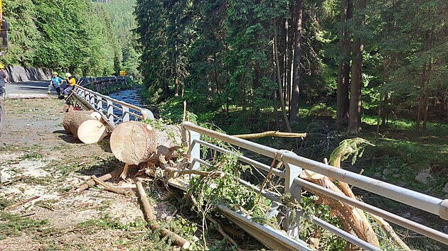 Po pádu stromu na auto v Krkonoších zemřeli tři lidé. Jeden člověk skončil v nemocnici. (19. června 2022)