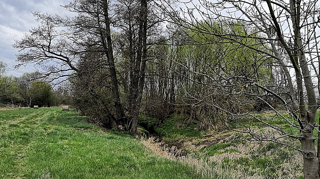 Vrátecký potok se svými zarostlými břehy je důležitý pro okolí, kde jsou hlavně průmyslové objekty. Ochlazuje totiž lokalitu na východním okraji Budějovic.