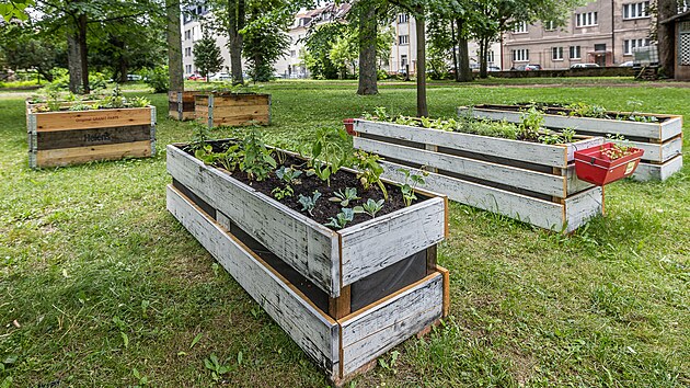 Truhlíky u hradecké Střelnice osázeli zeleninou i bylinkami.
