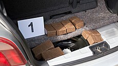 ilustra�ní snímek