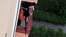 Zábr na mue na balkon v Ostrav-Porub, z nich jeden na okolo procházející...