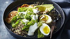 Kr�mov� quinoa s halloumi a avok�dem