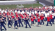 P�ehlídka sokol� v Brn� v roce 2015.