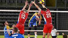 Momentka z utkání Ukrajina - �esko.