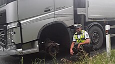 Dopravní policisté nevěřili vlastním očím. Po dálnici jelo nákladní auto bez...