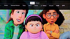 Disney+
