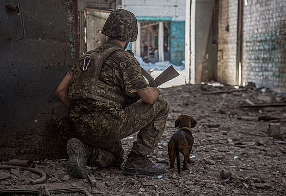 Ukrajinský voják hlídkuje v prmyslové zón Rusy obléhaného Severodoncku. (20....