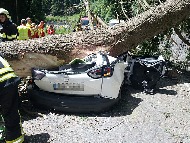 Policie odložila případ stromu spadlého na auto, zemřeli v něm tři lidé