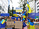 Demonstranti podporují vstup Ukrajiny do EU během summit EU v Bruselu. (23....
