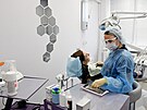 Lékaka oetuje pacienta na zubní klinice Domoddovo v Moskv. (15. ervna...