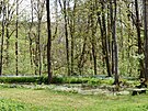 Námstí pírody na Plei (Plöss) v eském lese. 