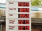 Vysoké ceny pohonných hmot pekvapily i idie v Nmecku. Na snímku ceny jedné...