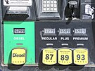 Ceny pohonných hmot dosáhly v USA svého historického maxima. Zdraování se...