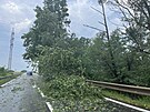 Spadlý strom na vozovce po pondlní bouce na Pardubicku. (20. ervna 2022)