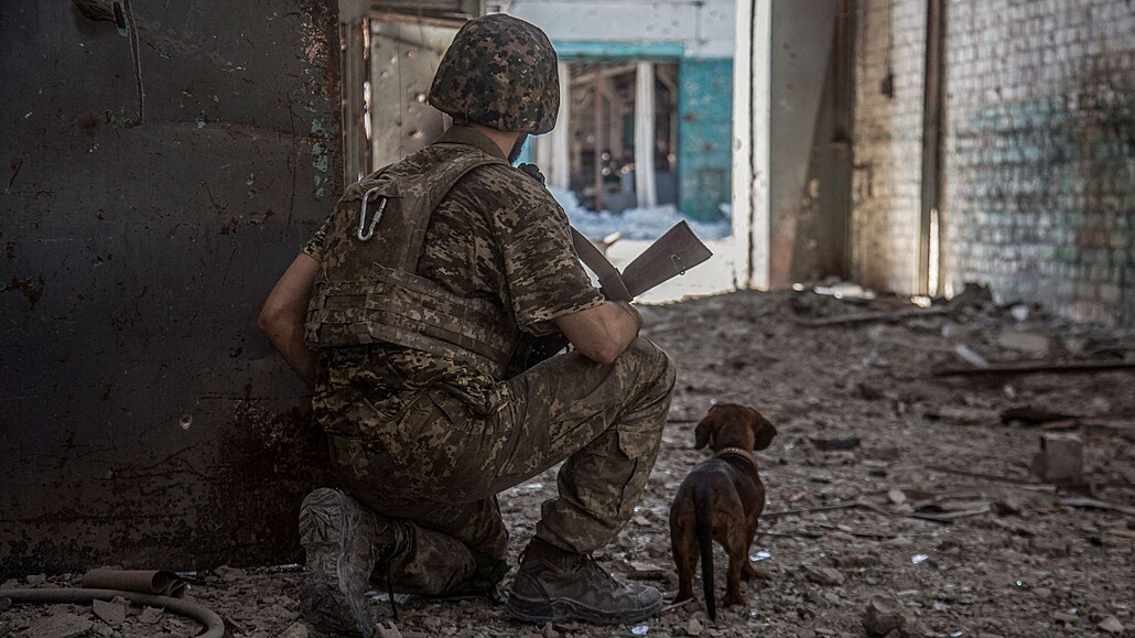 Ukrajinský voják hlídkuje v prmyslové zón Rusy obléhaného Severodoncku. (20....