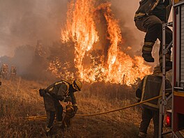 panltí hasii bojují s poáry v oblasti Pumarejo de Tera. (18. ervna 2022)