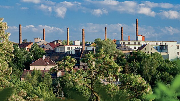 Pohled na charakteristick panorama Praskho pedmst s chmelaskmi budovami a jejich komny.