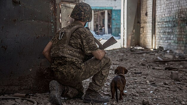 Ukrajinský voják hlídkuje v průmyslové zóně Rusy obléhaného Severodoněcku. (20. června 2022)