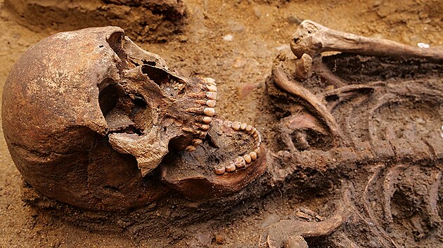 Archeologové odhalili pod Pálavskými vrchy zachovalou kostru válečníka germánského kmene Langobardů ze 6. století.