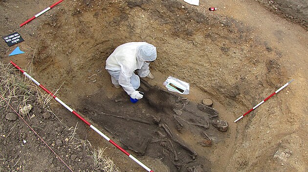 Eva Vaníčková odebírá z germánského hrobu pod Pálavskými vrchy vzorek pro analýzu DNA.