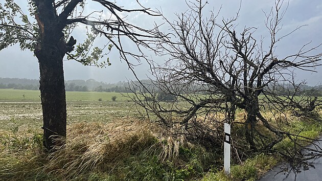 Pardubicko zasáhl silný vítr a krupobití. Hasiči měli výjezdy především kvůli popadaným stromům. (20. června 2022)