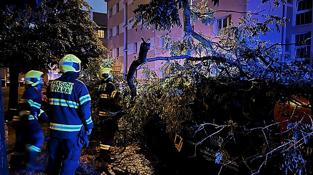 Bhem noci a rna hasii v Praze zasahovali u ty destek udlost, spojench s boukou a vydatnm detm. Jednalo se o zatopen sklepy, erpn lagun na komunikacch nebo popadan vtv. (25. ervna 2022)