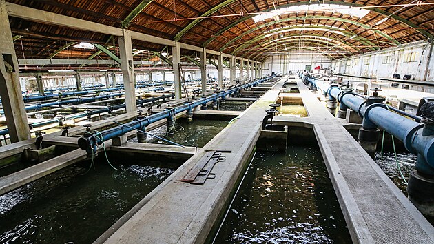 V r�mci festivalu Industry Open se konaly komentovan� prohl�dky tak� v plze�sk� vod�rn�. Ve�ejnost si zde mohla prohl�dnout i ryb� s�dky. (18. 6. 2022)